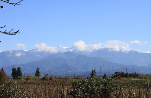 Kobuleti House | OK house!