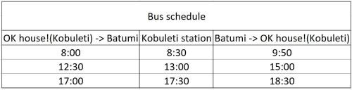 Kobuleti House | OK house!