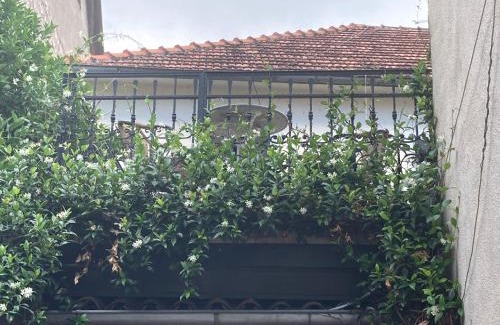 Risan Apartment | Old Risan Apartment