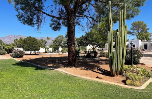 Tucson Condo | Old-School Charm on the Course – Patio Views & Sleeps 6