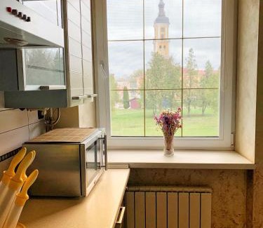 Kamenets-Podol'skiy Apartment | Old Town Apartments