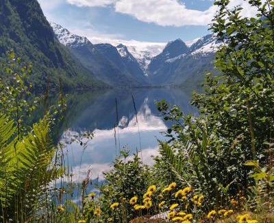 Jostedal Other | Oldevatn Camping