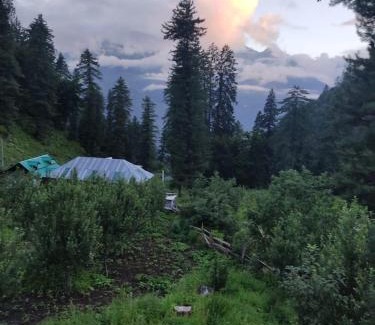 Tosh Hotel | olive garden kutla camping