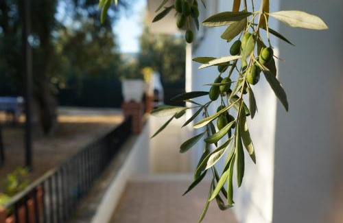 Mattinata Apartment | Olive&Sea Villa-SEA