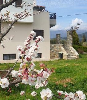 Ano Lechonia House | Olive View Cottage in Pelion