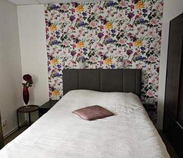 Kytlice Hotel | Olivin Kytlice