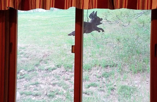 Bloomer House | On the Recreational Trails, Cozy, Pet Friendly