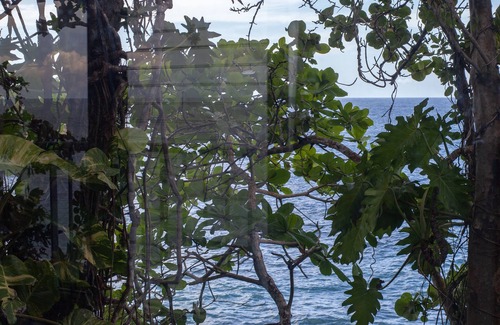 Port Antonio Villa | One Bedroom Sea View Villa, Frenchman's Cove Resort