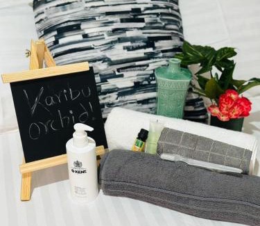 Manyoni Apartment | Orchid Cottages