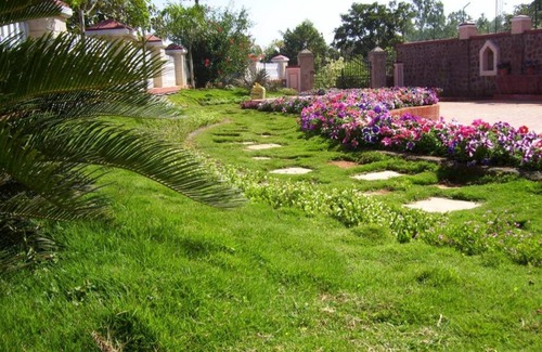 Bhilar Villa | Orchid Villa by Ebony Stays – Grand 7 BHK Hill View Villa in Mahabaleshwar