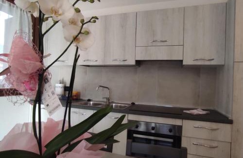 Valtellina Apartment | Orobie Holiday Apartments