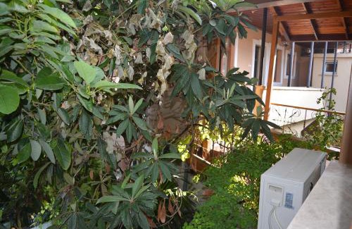 Tarsus Hotel | Osmanli Marco Pasha Hotel