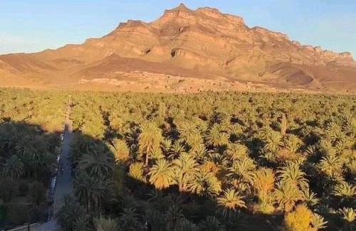 Aremd House | Ouriz agdez zagora