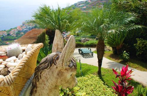 Camara de Lobos House | OurMadeira - Moradia da Falésia, panoramic views