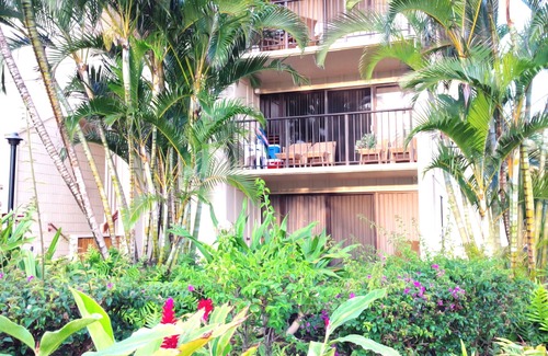 Hanamaulu Condo | Over 350 Avg 5.0 Star Reviews Say It all! This Is The Best Deal On Kauai!n.
