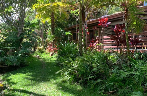 Kukuihaele Condo | OWL NEST: serene stream side retreat for 2 or 3