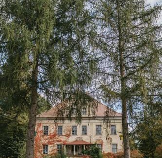 Gryfow Slaski House | Pałac Rząsiny