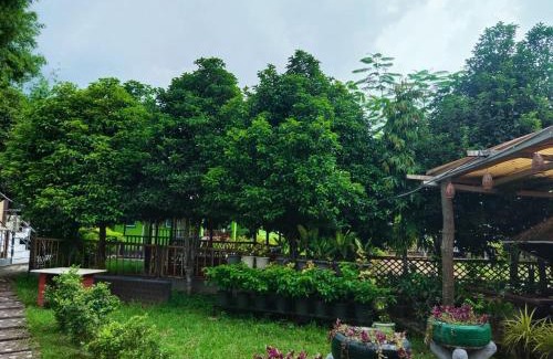 Guwahati House | Paat Halodhiya Farm Stay