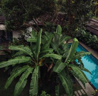 Chandragutti Hotel | Paddle Cult Surf & Yoga