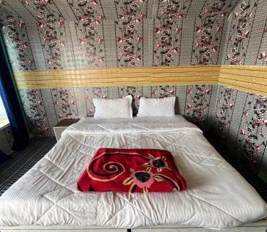 Spangmik Cabin | Padma Cottage Pangong
