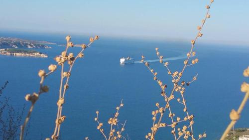 Megala Chorafia Apartment | PALACE Sea view
