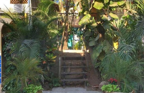 North End Cabin | Palapa Chili #