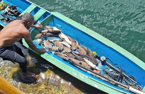 Neopolis Hotel | Palladium Pousada