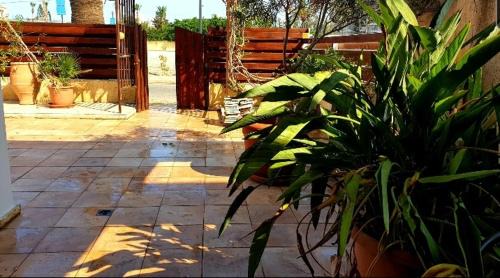 Oroklini Apartment | Palm Beach Apartment