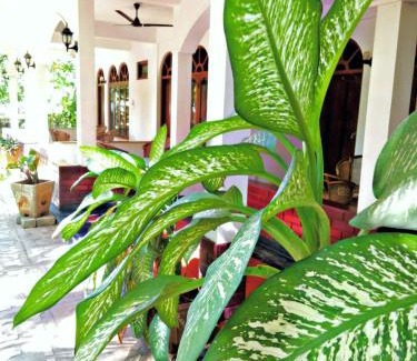 Uppuveli Resort | Palm Beach Resort by Yosha Guest