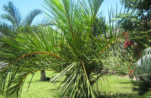 Richards Bay House | Palm Gardens Guesthouse