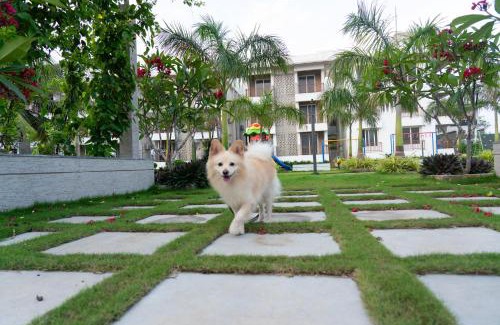 Gopalpur House | Palm Regal Resort