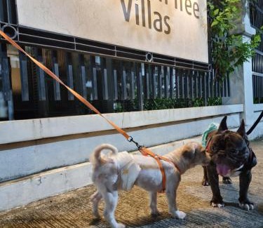 Pasay Apartment | Palm Tree Villas Condominium by Beth