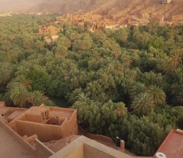 Toudgha El Oulia Bed & Breakfast | Palm Valle guest house B&B