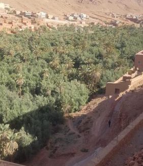 Toudgha El Oulia Bed & Breakfast | Palm Valle guest house B&B