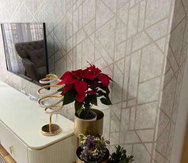 Cacak Apartment | PANDORA APARTMAN CACAK