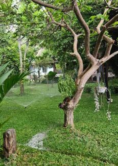 Pollachi House | Pannadikadu Homestay
