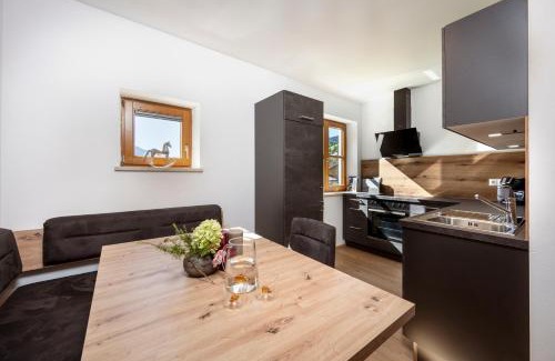 Werfen Apartment | Panorama Mountain & Castle View Apartment D'Fidlerin Salzburg