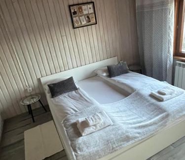 Gliczarow Gorny Apartment | Panorama Tatr