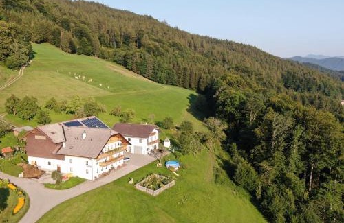 Tiefgraben Apartment | Panoramahof Manzberg