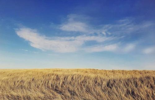Lild Strand House | Panoramic Seaside Escape - By Traum Ferienwohnungen
