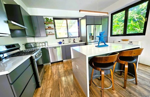 Punta Las Marias House | Papi's Tropical Pool Paradise