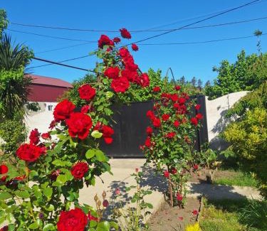 Kobuleti Apartment | Paradise cottage