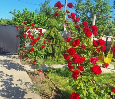 Kobuleti Apartment | Paradise cottage