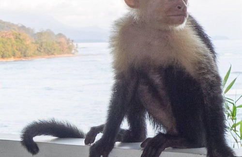 Baru House | Paradiselodge - Casa Romantica