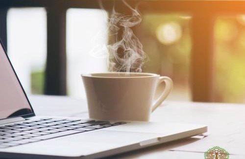 Holosiivskyj Hotel | Park-Hotel Golosievo