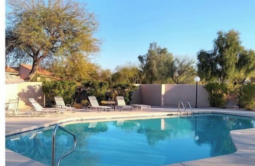 Tempe House | Park Setting with Pool! Old Town Scottsdale, ASU, PHX, Papago Park, Zoo, DBG