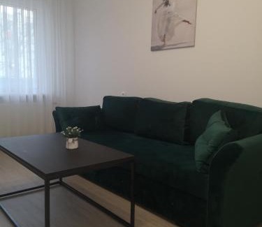 Panevezys Apartment | Parko apartamentai
