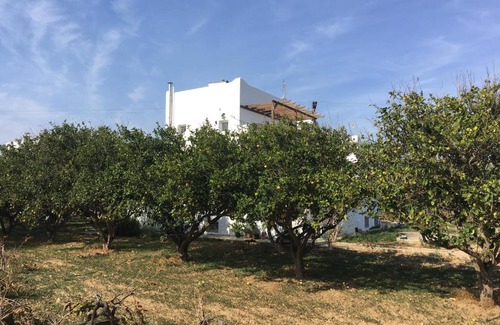 Piso Livadi House | Paros Nature House