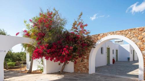 Aliki Hotel | Parosland Hotel