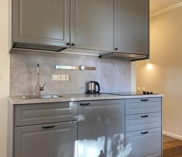 Kaunas Apartment | "Pas draugą" Greenhill